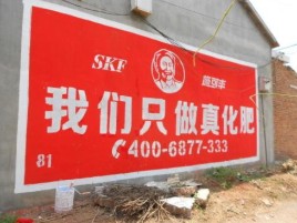 广德刷墙广告”蕴含了时代命题
