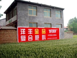 广德如何让墙体广告展现最大化效果