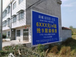 广德墙体广告质量分析